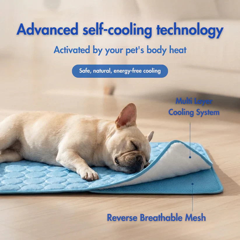 Fanyil™ DreamPaws CoolBreath Mat