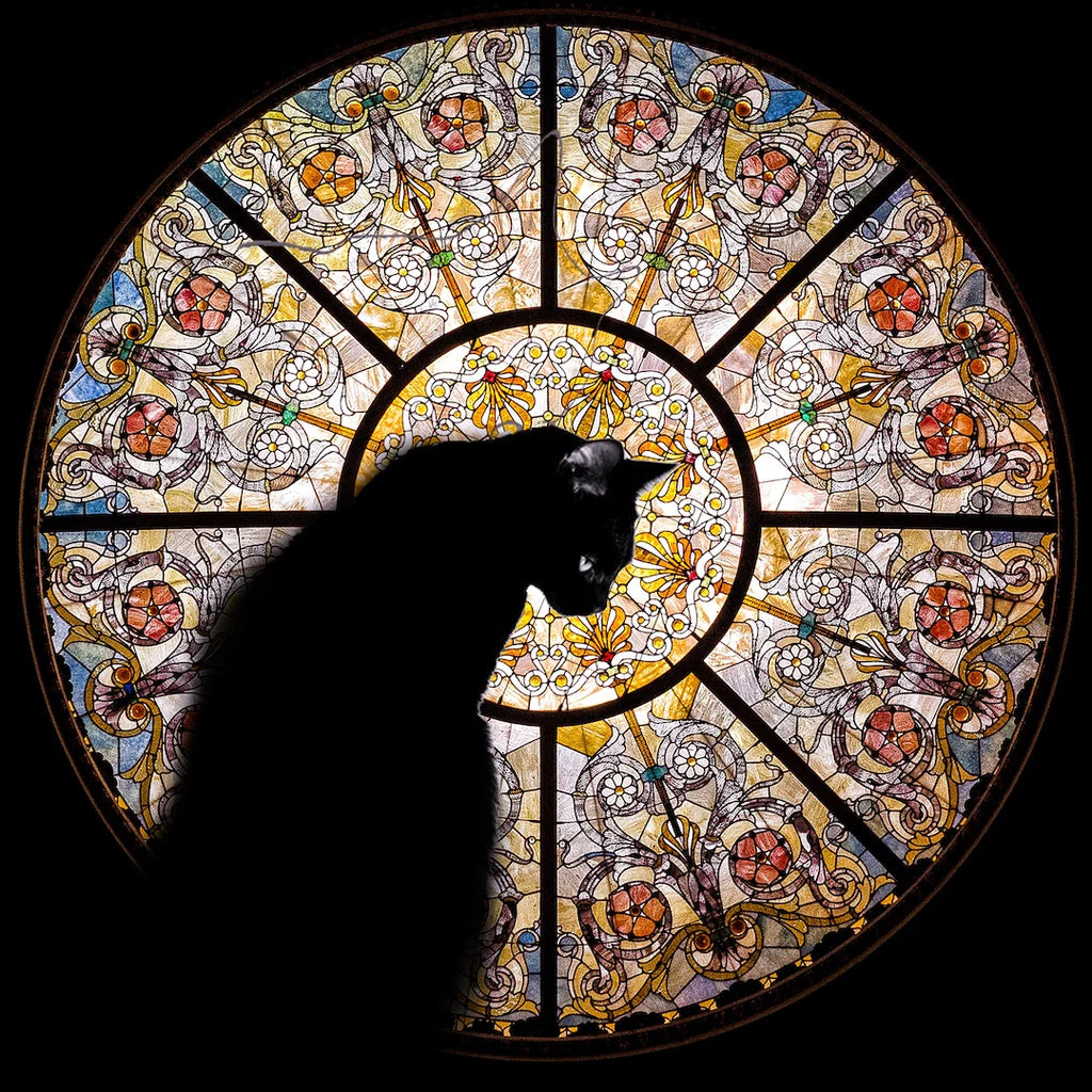 🐈‍⬛Cathedral Cat Wooden Jigsaw Puzzle - 372PCS