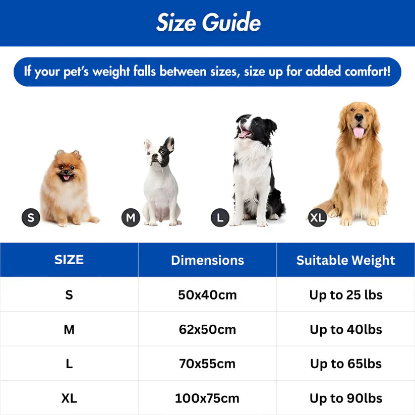 Fanyil™ DreamPaws CoolBreath Mat